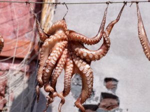 Ristoranti tipici di pesce ischia